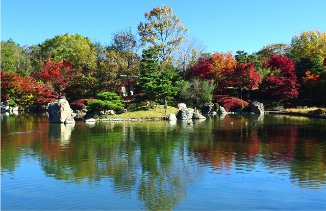 びわこ文化公園